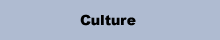 CultureText