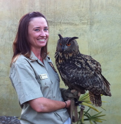 Sunset Safari 2011 - owl