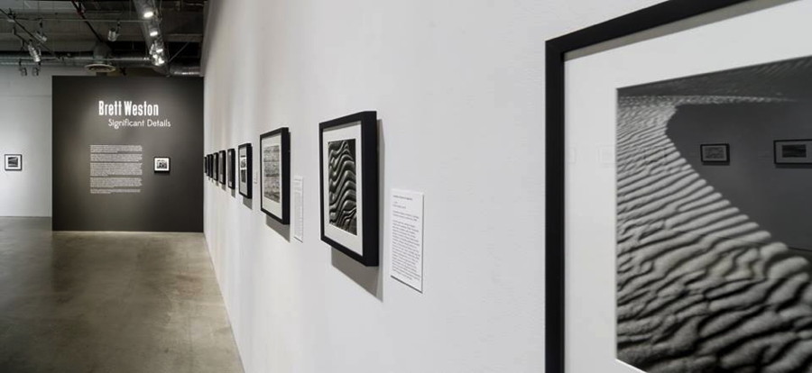 Installation view, "Brett Weston: Significant Details," April 17–September 11, 2016, Pasadena Museum of California Art, photo © 2016 Don Milici.